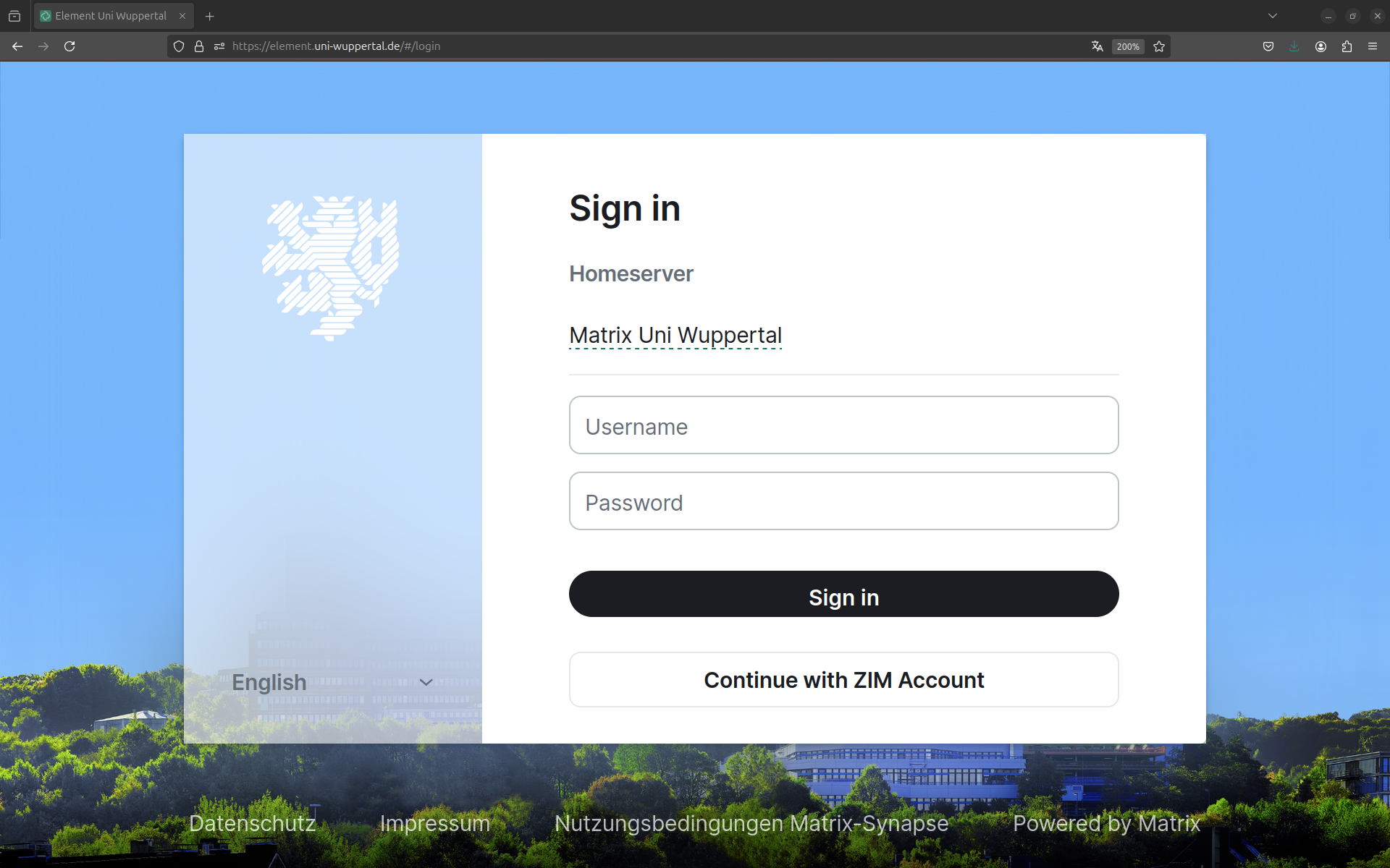 Login window